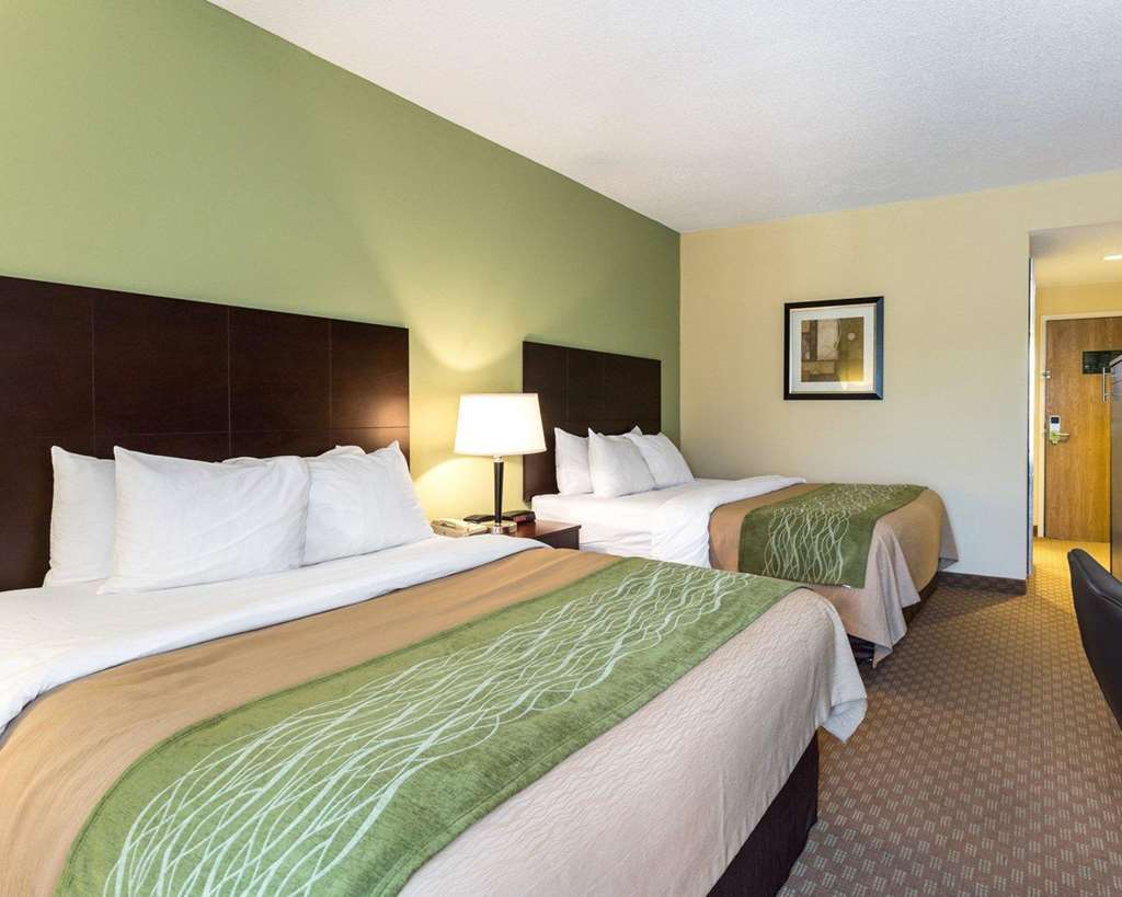 Comfort Inn Horn Lake Room photo